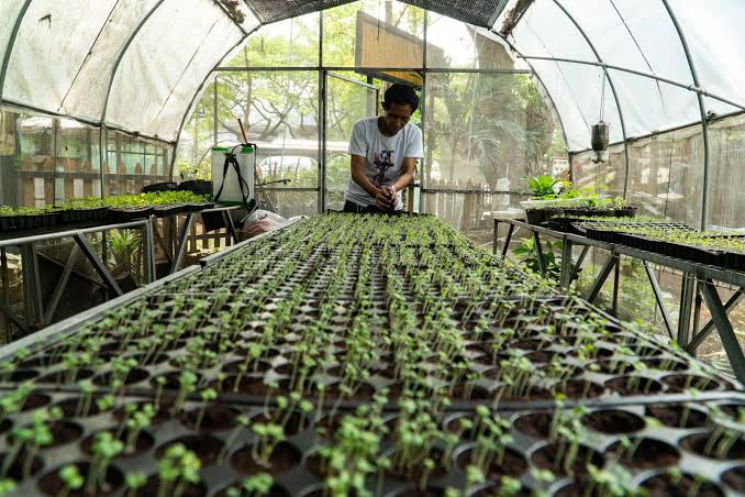 World Bank Highlights Need for Greater Investment to Strengthen Global Food Security