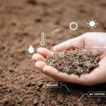 Global Soil Health Movement Gains Momentum to Restore Agricultural Productivity