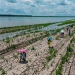 WMO Calls for Immediate Agricultural Preparedness Ahead of El Niño