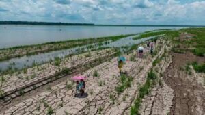 WMO Calls for Immediate Agricultural Preparedness Ahead of&hellip;