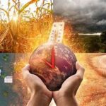 UN Warns Conflicts, Energy Shocks, and Climate Risks Could Reverse Global Food Security Gains