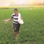 India Deploys New Digital Tool to Prevent Fertilizer Shortages and Pilferage