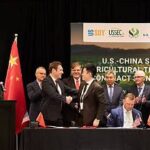 US Soybeans Rise on Fresh China Purchase Agreements