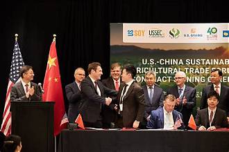US Soybeans Rise on Fresh China Purchase Agreements