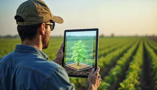 FAO Warns of Fresh Global Food Price Surge as Geopolitical Tensions and Climate Risks Mount