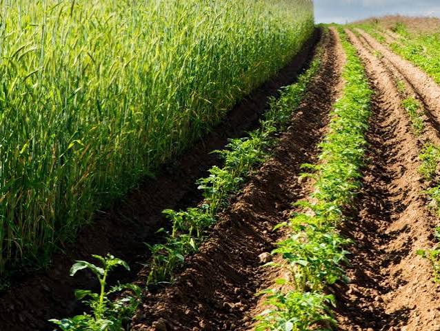 Sustainable Agriculture and Integrated Farming Continue to Gain…