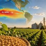 Super El Niño Threatens Global Agriculture, but Strong Grain Stocks Offer a Crucial Buffer