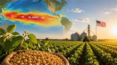 Super El Niño Threatens Global Agriculture, but Strong Grain Stocks Offer a Crucial Buffer