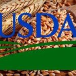 USDA Releases Fresh Global Grain Market Data