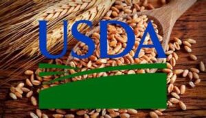 USDA Releases Fresh Global Grain Market Data