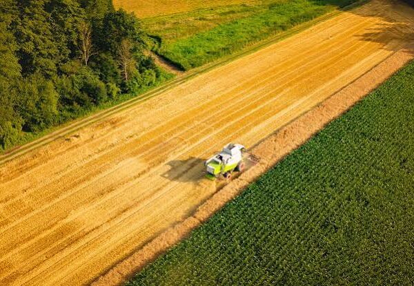 Global Agribusiness Shifts Focus to Climate Resilience and…
