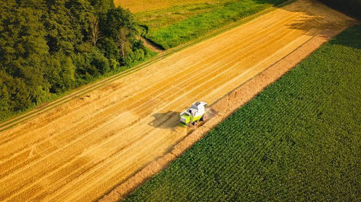 Global Agribusiness Shifts Focus to Climate Resilience and…