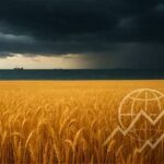 Wheat Prices Surge 5.8% as Black Sea Disruptions and Heatwaves Raise Global Supply Concerns
