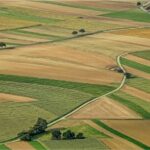 U.S. Farm Sector Faces Continued Pressure as Crop Economics Remain Challenging