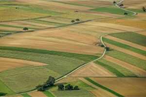 U.S. Farm Sector Faces Continued Pressure as Crop&hellip;