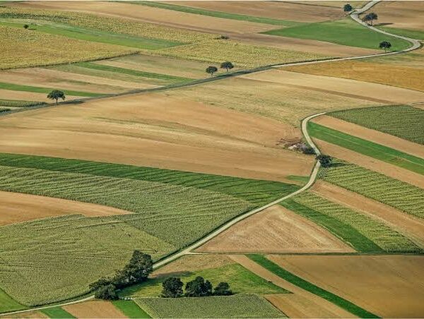 U.S. Farm Sector Faces Continued Pressure as Crop…