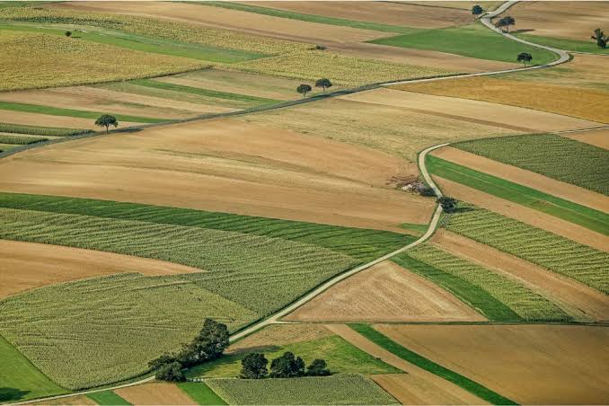 U.S. Farm Sector Faces Continued Pressure as Crop…