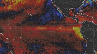 Wars and El Niño Could Trigger Another Global…