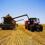 Kazakhstan Strengthens Its Role as a Global Agri-Food Hub
