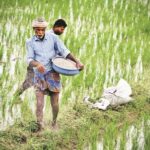 India Links Fertilizer Sales With Farmer, Land and Crop Data