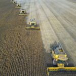 El Niño Threatens to Add Pressure to Global Food Supplies