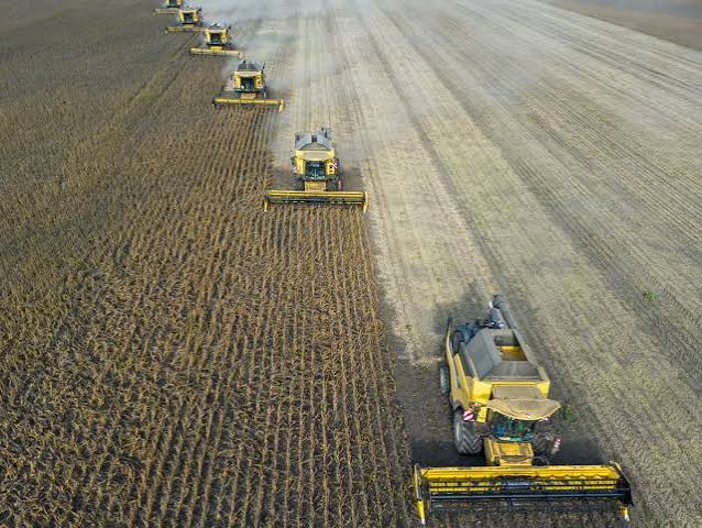 El Niño Threatens to Add Pressure to Global…