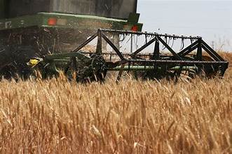 Global Grain Stocks Provide Cushion Against Super El…