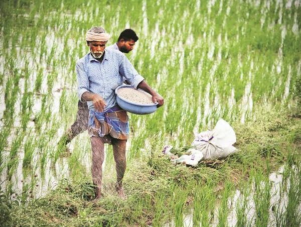 India Links Fertilizer Sales With Farmer, Land and…