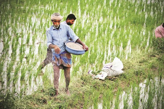 India Links Fertilizer Sales With Farmer, Land and&hellip;