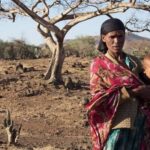 Powerful El Niño Raises Global Food-Security Concerns, WFP Warns