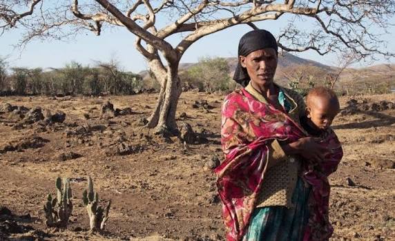 Powerful El Niño Raises Global Food-Security Concerns, WFP Warns