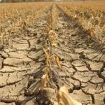 Europe’s Severe Drought Threatens Agriculture and Food Supply