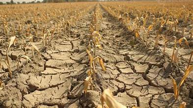 Europe’s Severe Drought Threatens Agriculture and Food Supply