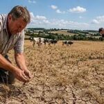 UK Farmers Warn of Food Shortages as Severe Drought Threatens Crop Yields