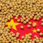 U.S. Soybean Sales to China Signal Major Trade Opportunity for Farmers