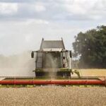 UK Faces Potential Worst Cereal Harvest in Decades
