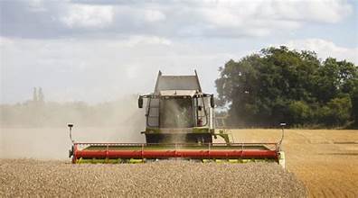 UK Faces Potential Worst Cereal Harvest in Decades