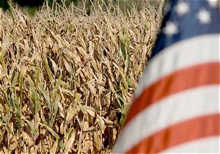 U.S. Corn and Soybean Outlook Faces Weather-Driven Uncertainty