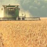 U.S. Senate Advances 2026 Farm Bill Discussions, Boosting Confidence Across the Agricultural Sector