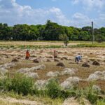 Philippines Steps Up Food-Security Preparations Amid El Niño Concerns