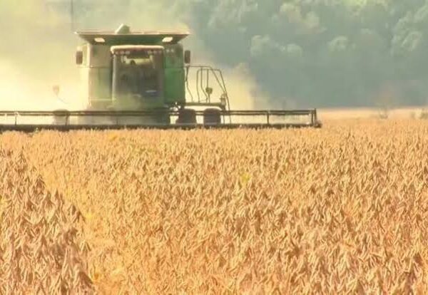U.S. Senate Advances 2026 Farm Bill Discussions, Boosting…