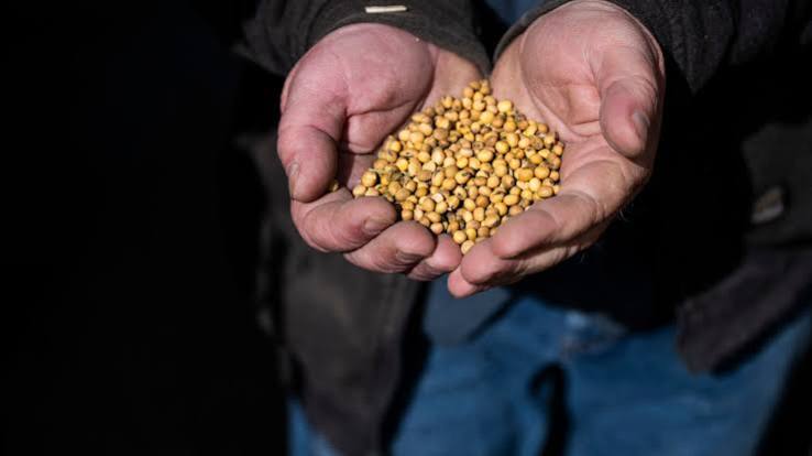 Europe’s Extreme Heat Deals Fresh Blow to Agriculture