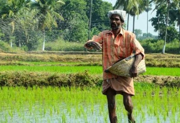 Global Fertilizer Prices Rise 35%, Raising Concerns for…