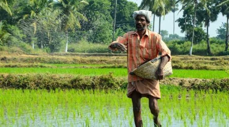 Global Fertilizer Prices Rise 35%, Raising Concerns for…
