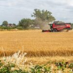 Global Food Prices Face Fresh Inflation Risk