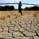 AI Is Increasingly Transforming India’s Agriculture Sector