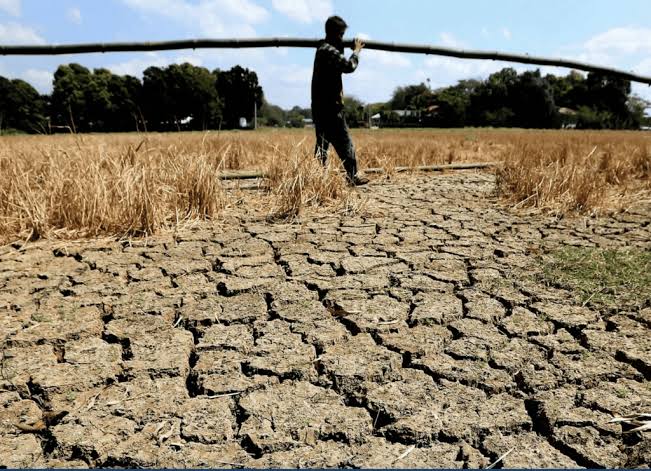 AI Is Increasingly Transforming India’s Agriculture Sector