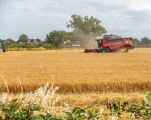 Global Food Prices Face Fresh Inflation Risk