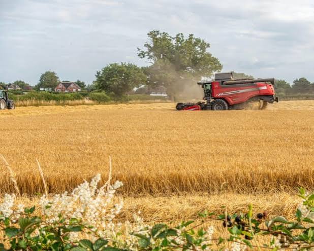 Global Food Prices Face Fresh Inflation Risk