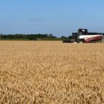 Philippines Updates Food-Security Plans as El Niño Threatens Crops